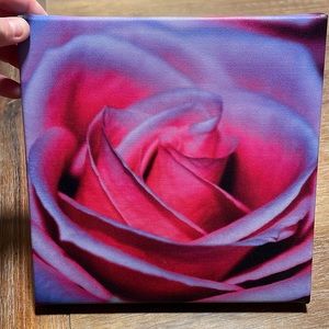 Pink Rose Wrapped Canvas 8x8
